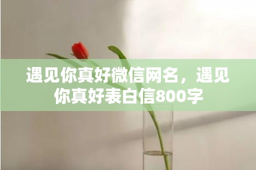 遇见你真好微信网名，遇见你真好表白信800字