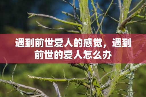 遇到前世爱人的感觉，遇到前世的爱人怎么办