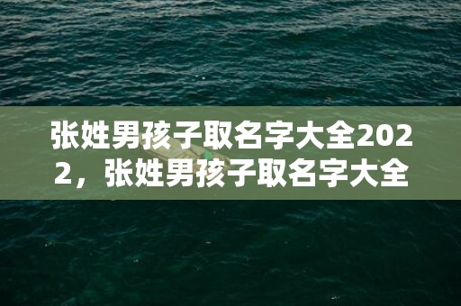 张姓男孩子取名字大全2022，张姓男孩子取名字大全免费
