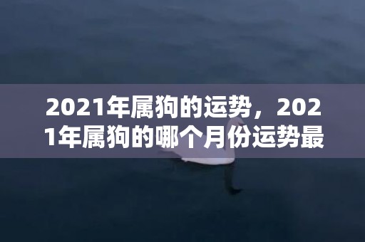 2021年属狗的运势，2021年属狗的哪个月份运势最佳最吉利