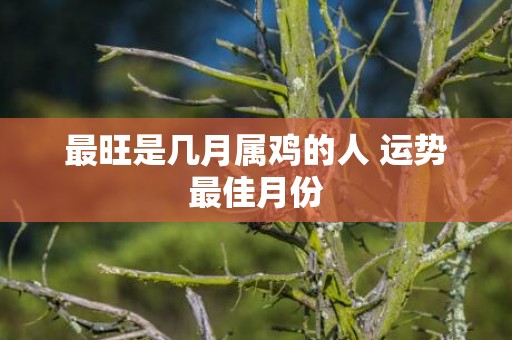 最旺是几月属鸡的人 运势最佳月份