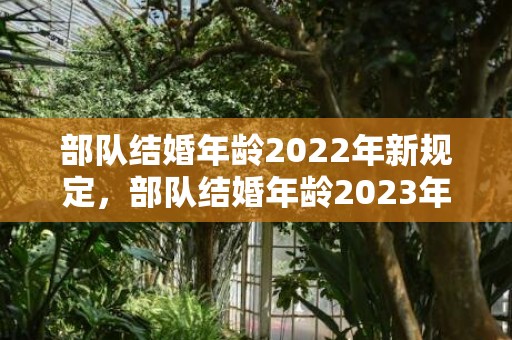 部队结婚年龄2022年新规定，部队结婚年龄2023年新规定出台了吗请问