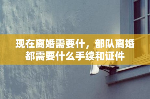 现在离婚需要什，部队离婚都需要什么手续和证件