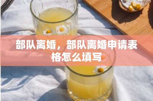 部队离婚，部队离婚申请表格怎么填写