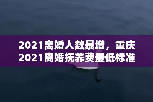 2021离婚人数暴增，重庆2021离婚抚养费最低标准是多少钱