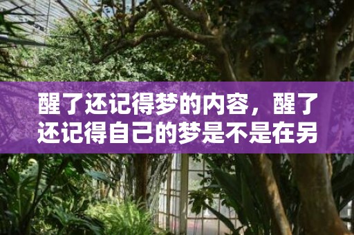 醒了还记得梦的内容，醒了还记得自己的梦是不是在另一空间都是真的
