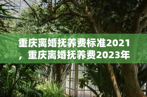 重庆离婚抚养费标准2021，重庆离婚抚养费2023年标准是多少钱