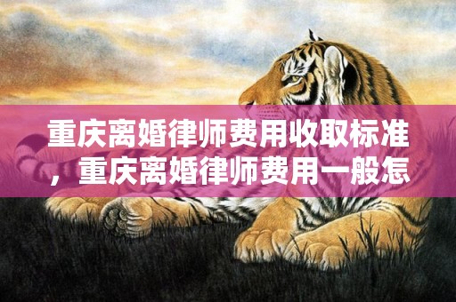 重庆离婚律师费用收取标准，重庆离婚律师费用一般怎么收费的呢多少钱