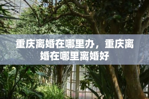 重庆离婚在哪里办，重庆离婚在哪里离婚好
