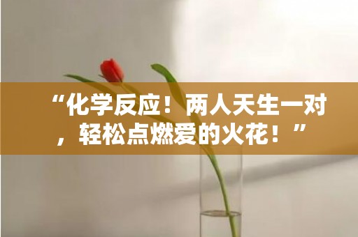 “化学反应！两人天生一对，轻松点燃爱的火花！”