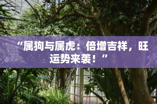 “属狗与属虎：倍增吉祥，旺运势来袭！”