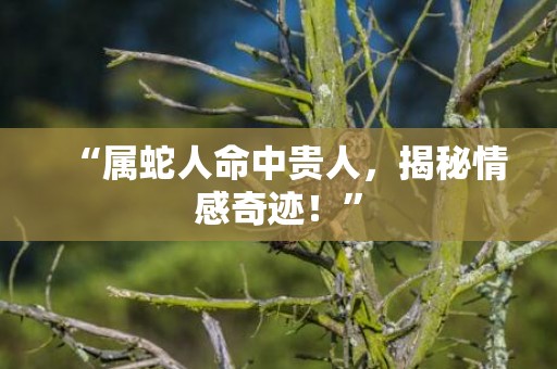“属蛇人命中贵人，揭秘情感奇迹！”