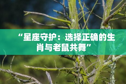 “星座守护：选择正确的生肖与老鼠共舞”