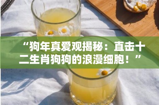 “狗年真爱观揭秘：直击十二生肖狗狗的浪漫细胞！”