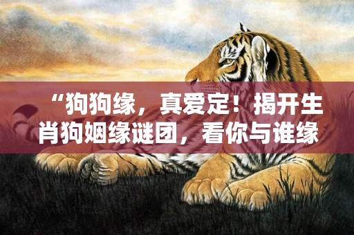 “狗狗缘，真爱定！揭开生肖狗姻缘谜团，看你与谁缘分天定？”