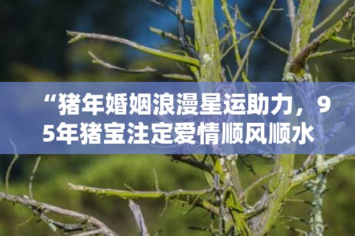 “猪年婚姻浪漫星运助力，95年猪宝注定爱情顺风顺水！”