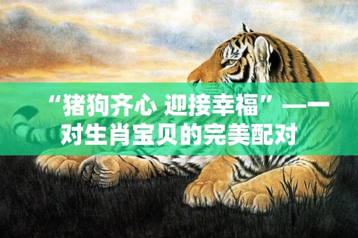 “猪狗齐心 迎接幸福”—一对生肖宝贝的完美配对