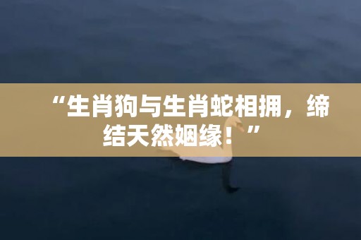 “生肖狗与生肖蛇相拥，缔结天然姻缘！”