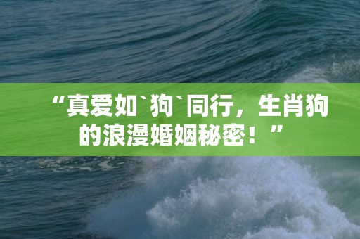 “真爱如`狗`同行，生肖狗的浪漫婚姻秘密！”