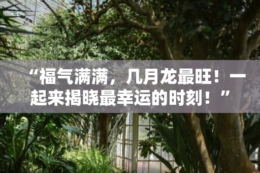 “福气满满，几月龙最旺！一起来揭晓最幸运的时刻！”