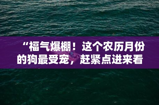 “福气爆棚！这个农历月份的狗最受宠，赶紧点进来看看！”