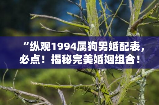 “纵观1994属狗男婚配表，必点！揭秘完美婚姻组合！”