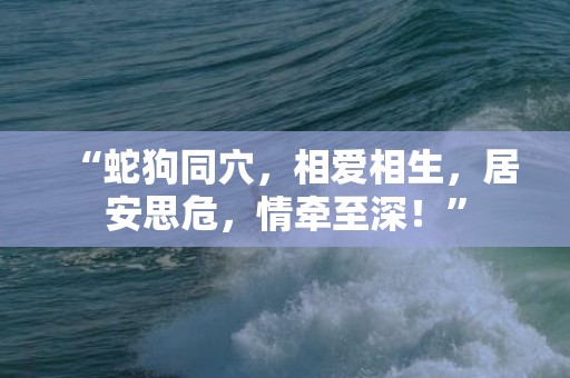 “蛇狗同穴，相爱相生，居安思危，情牵至深！”