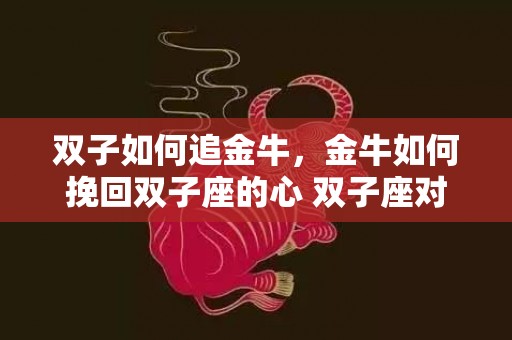 双子如何追金牛，金牛如何挽回双子座的心 双子座对金牛座的感情