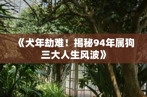 《犬年劫难！揭秘94年属狗三大人生风波》