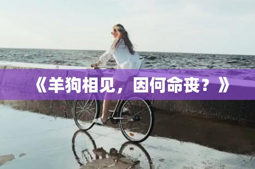 《羊狗相见，因何命丧？》