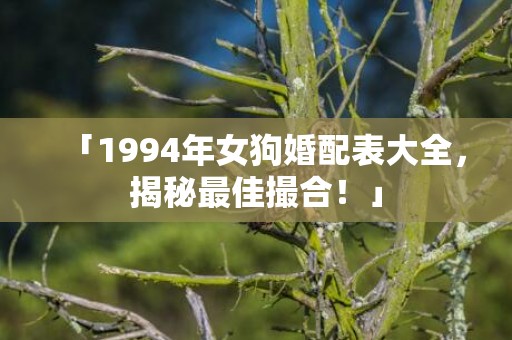 「1994年女狗婚配表大全，揭秘最佳撮合！」
