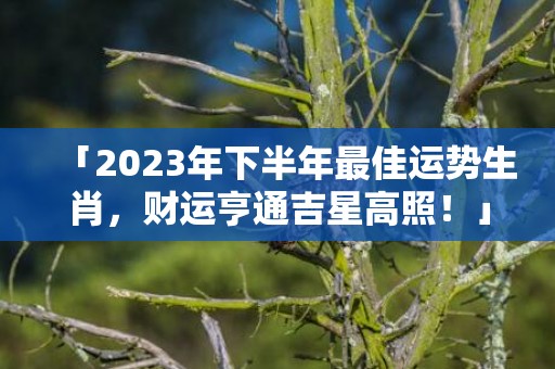 「2023年下半年最佳运势生肖，财运亨通吉星高照！」
