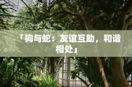 「狗与蛇：友谊互助，和谐相处」