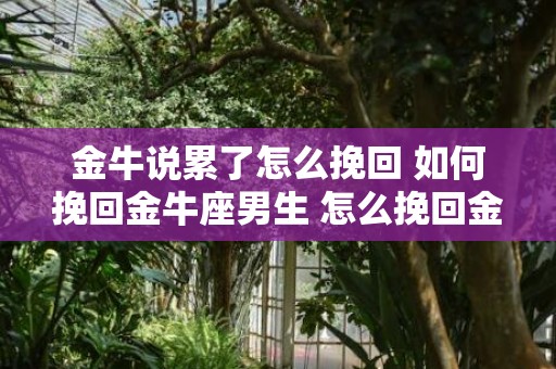 金牛说累了怎么挽回 如何挽回金牛座男生 怎么挽回金牛座男生 他说他太累了