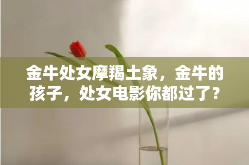 金牛处女摩羯土象，金牛的孩子，处女电影你都过了？ 电影《金牛的孩子》