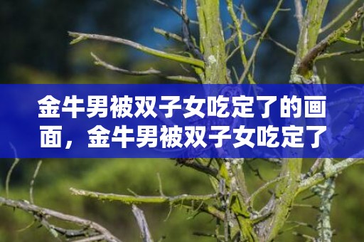 金牛男被双子女吃定了的画面，金牛男被双子女吃定了（详解双子女和金牛男）