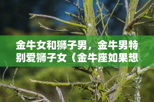 金牛女和狮子男，金牛男特别爱狮子女（金牛座如果想和狮子座在一起）