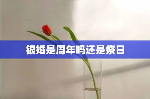 银婚是周年吗还是祭日