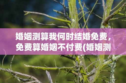 婚姻测算我何时结婚免费，免费算婚姻不付费(婚姻测算我何时结婚准吗)