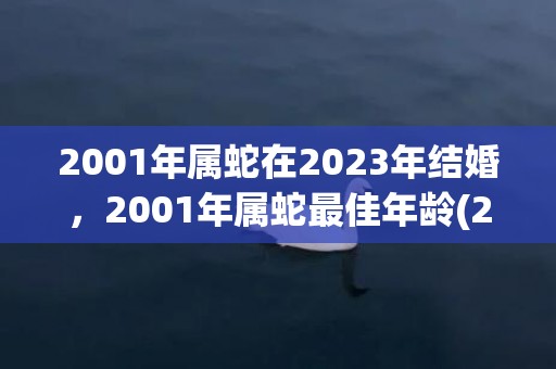 2001年属蛇在2023年结婚，2001年属蛇最佳年龄(2001年属蛇在2023年运势怎么样)