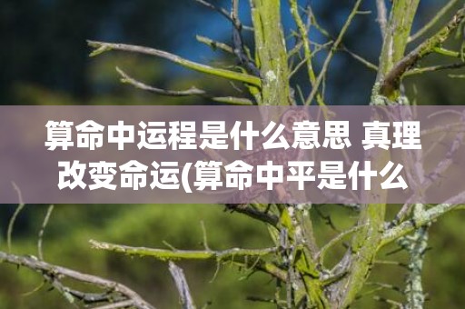 算命中运程是什么意思 真理改变命运(算命中平是什么意思)