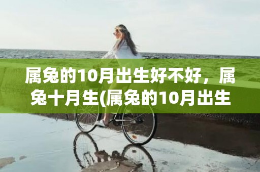 属兔的10月出生好不好，属兔十月生(属兔的10月出生的名星)