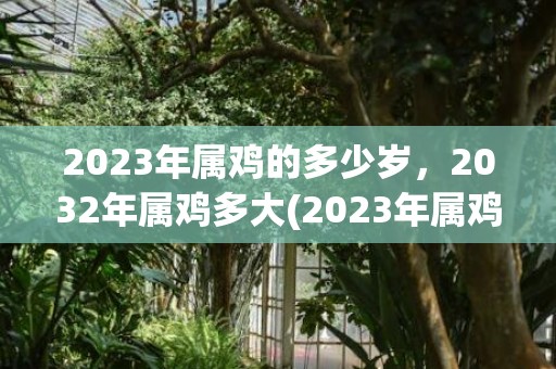 2023年属鸡的多少岁，2032年属鸡多大(2023年属鸡的多大岁数)