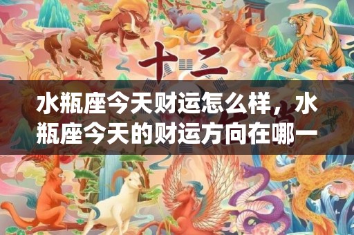 水瓶座今天财运怎么样，水瓶座今天的财运方向在哪一方(水瓶座今天财运方位)