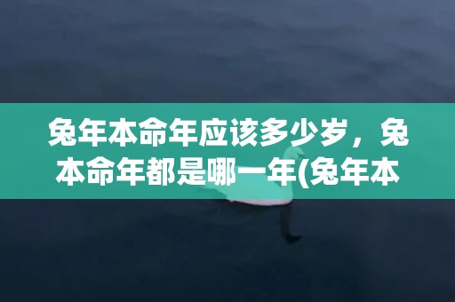 兔年本命年应该多少岁，兔本命年都是哪一年(兔年本命年应该多大)