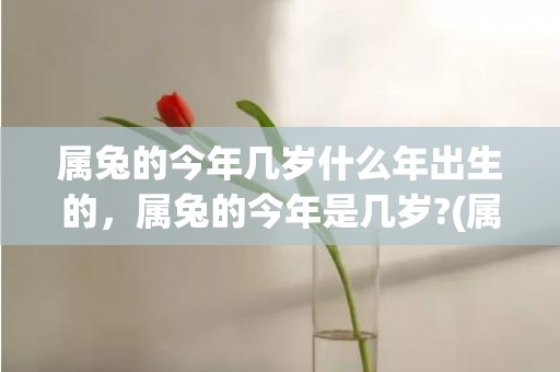 属兔的今年几岁什么年出生的，属兔的今年是几岁?(属兔今年几岁今年多大)