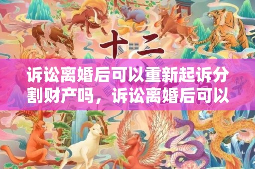 诉讼离婚后可以重新起诉分割财产吗，诉讼离婚后可以申请强制执行抚养费吗