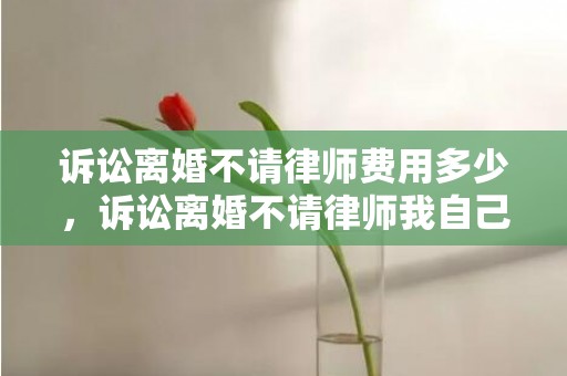诉讼离婚不请律师费用多少，诉讼离婚不请律师我自己该如何做证据