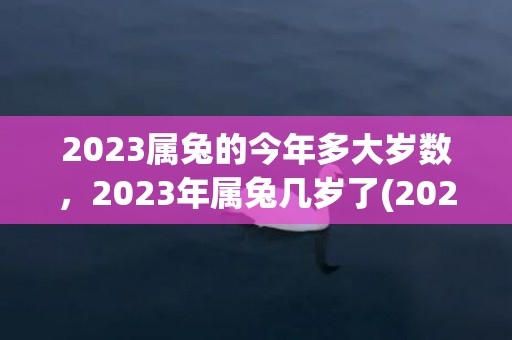 2023属兔的今年多大岁数，2023年属兔几岁了(2023属兔缺金女孩名有哪些字)