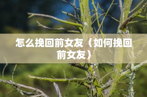 怎么挽回前女友（如何挽回前女友）